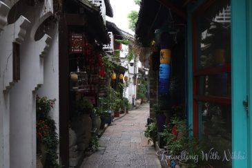 Cat Cafes on Caohe Street