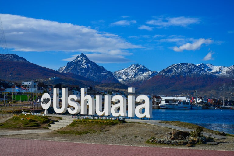 Ancient forests in Ushuaia